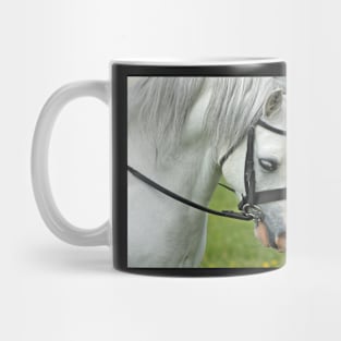 Welsh Mountain Pony Mug